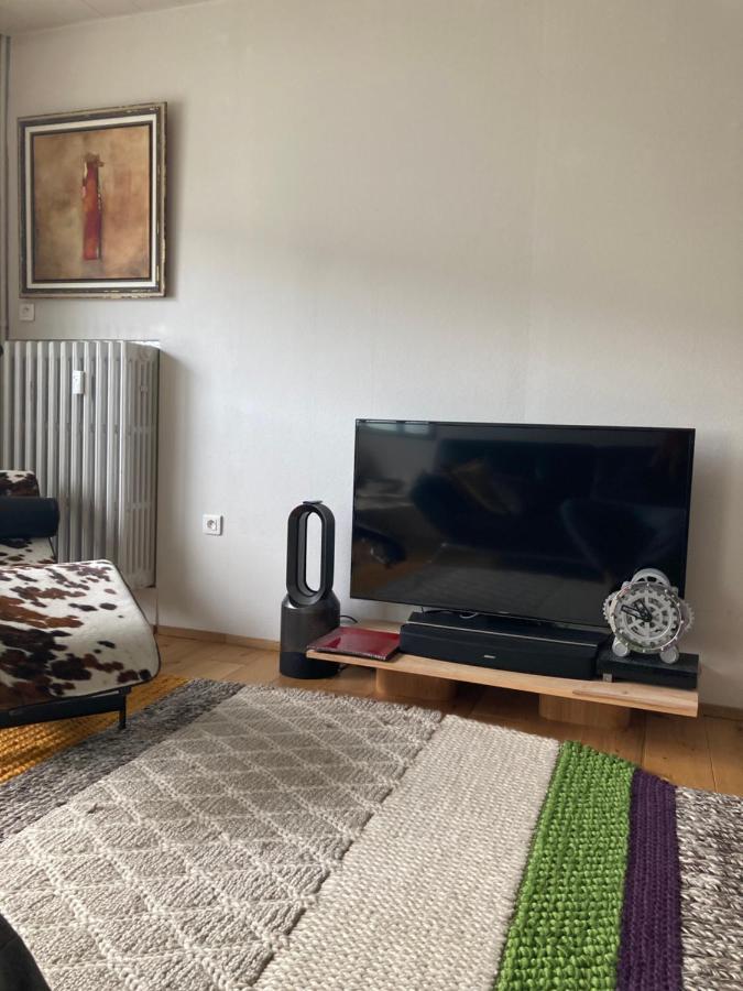 King Size Lounge 76M2 De Confort Au Centre Ville Мюлуз Екстериор снимка