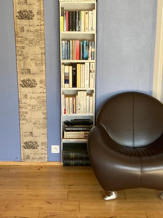 King Size Lounge 76M2 De Confort Au Centre Ville Мюлуз Екстериор снимка