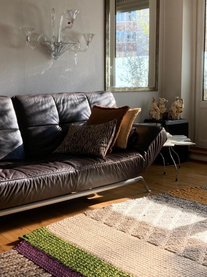 King Size Lounge 76M2 De Confort Au Centre Ville Мюлуз Екстериор снимка